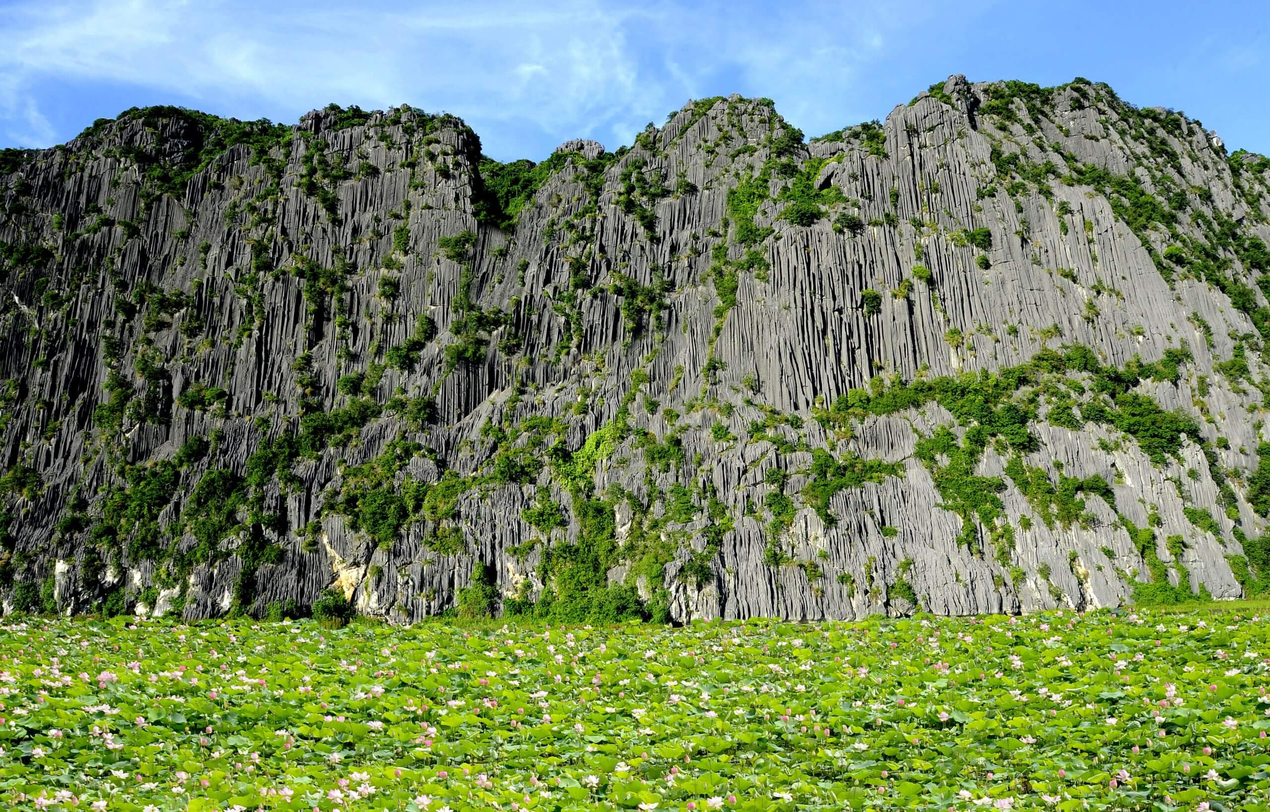 Khu bảo Tồn Thiên Nhiên Vân Long