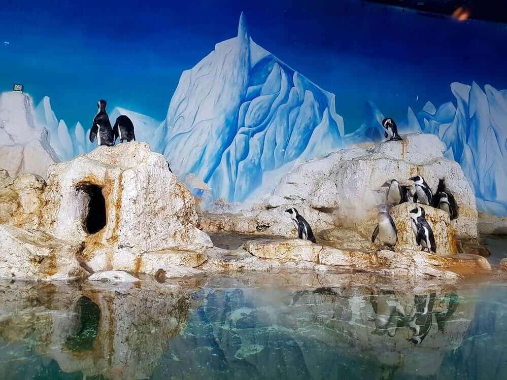 VinKE 教育遊園地とタイムズシティ ハノイ水族館