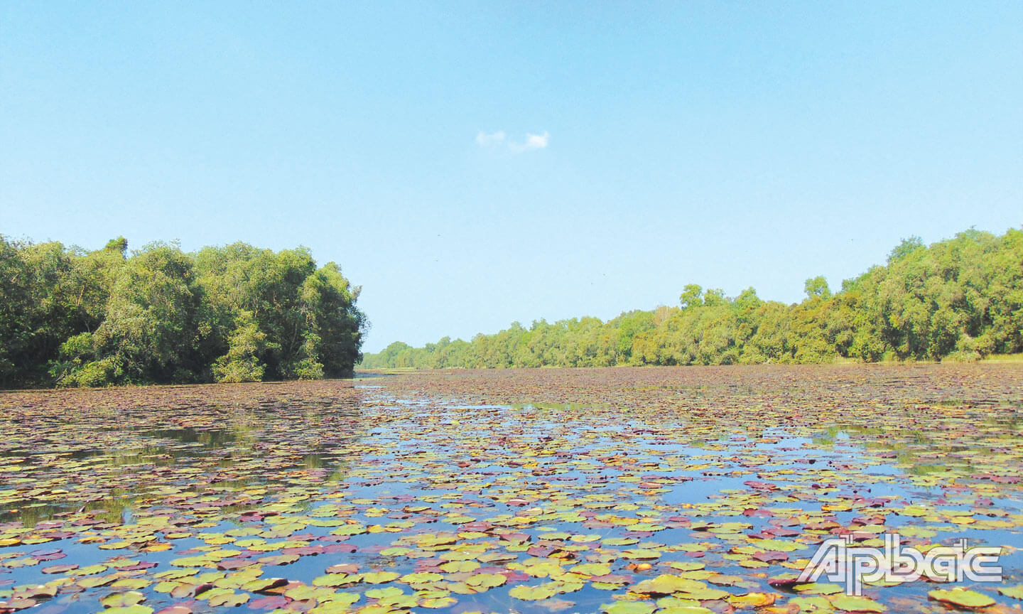 Khu bảo tồn sinh thái Đồng Tháp Mười
