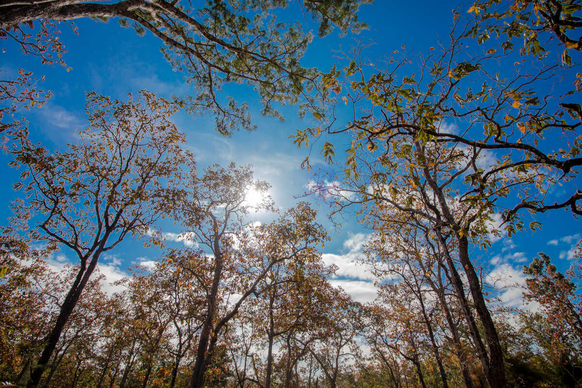 ヨクドン国立公園の自然の美しさにきっと驚かれるでしょう。