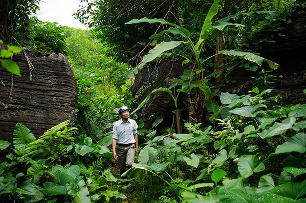 티엔안 박쥐 동굴