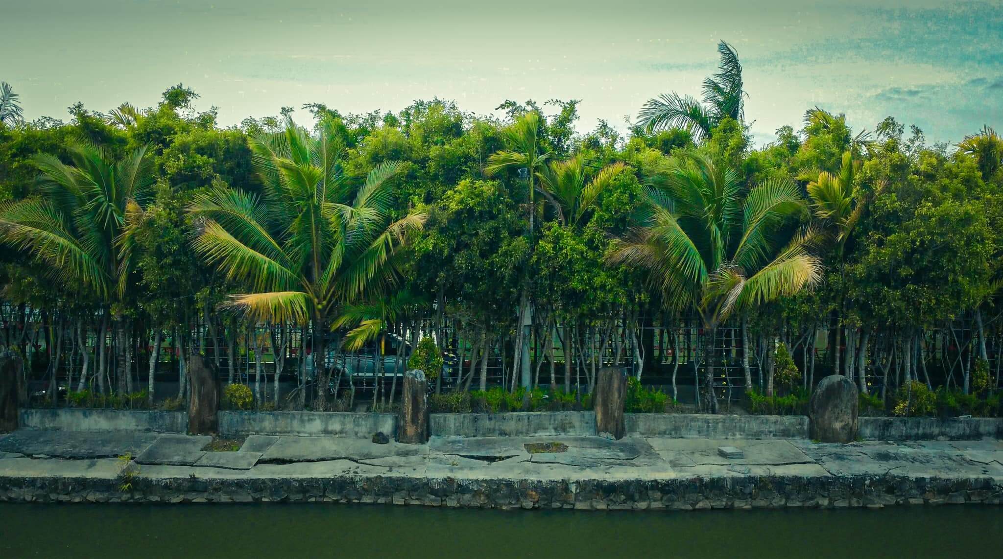 緑豊かな空間、美しい景色、そして多くの興味深いアクティビティを備えたフックソンは、ベトナムで最も人気のある観光地の 1 つとなっています。