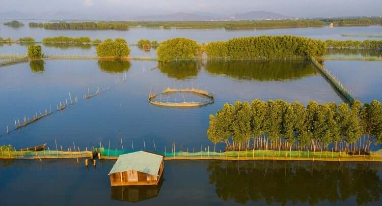 Khám phá đầm Thị Nại: Bí mật ẩn giấu giữa lòng thiên nhiên hoang sơ