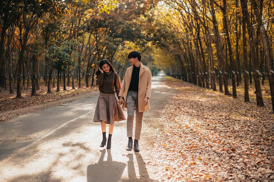 Rừng cao su Tây Ninh