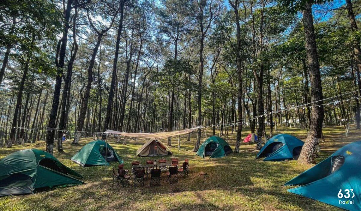 Tổ chức teambuiding tại Khu dã ngoại Sơn Tinh Camp