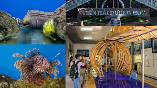 Viện Hải dương học Nha Trang