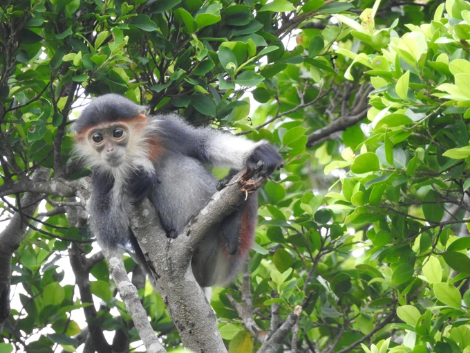 Vườn Quốc gia Vũ Quang