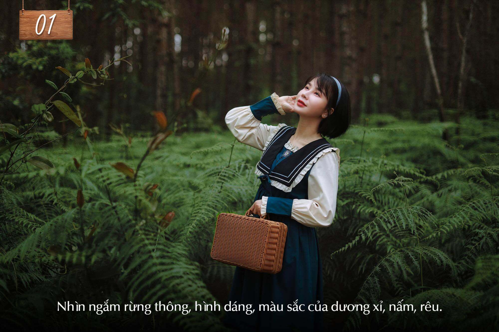 The Florest - Hoa Trong Rừng