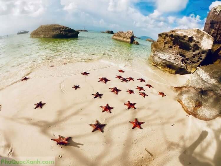 バイサオは、キエンザン県フーコック市トイアン区のバイサオ村にあります。