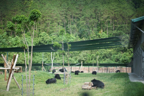 タム ダオ国立公園 - グリーン ツーリズム開発の核