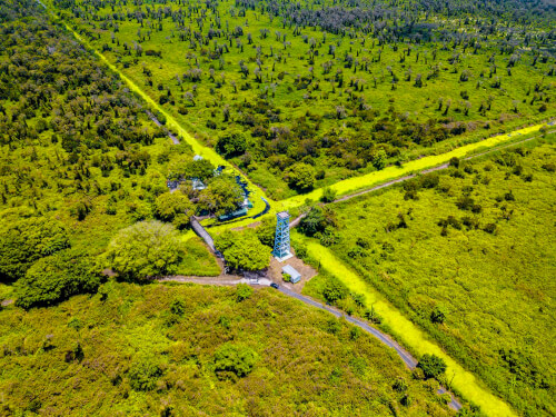 U Minh Ha Forest - 俯瞰図