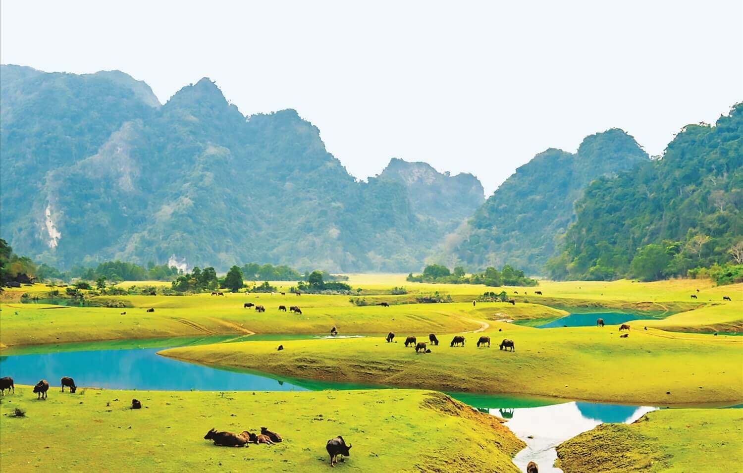Thảo nguyên Đồng Lâm - nơi giải nhiệt lý tưởng cho mùa hè ở Lạng Sơn