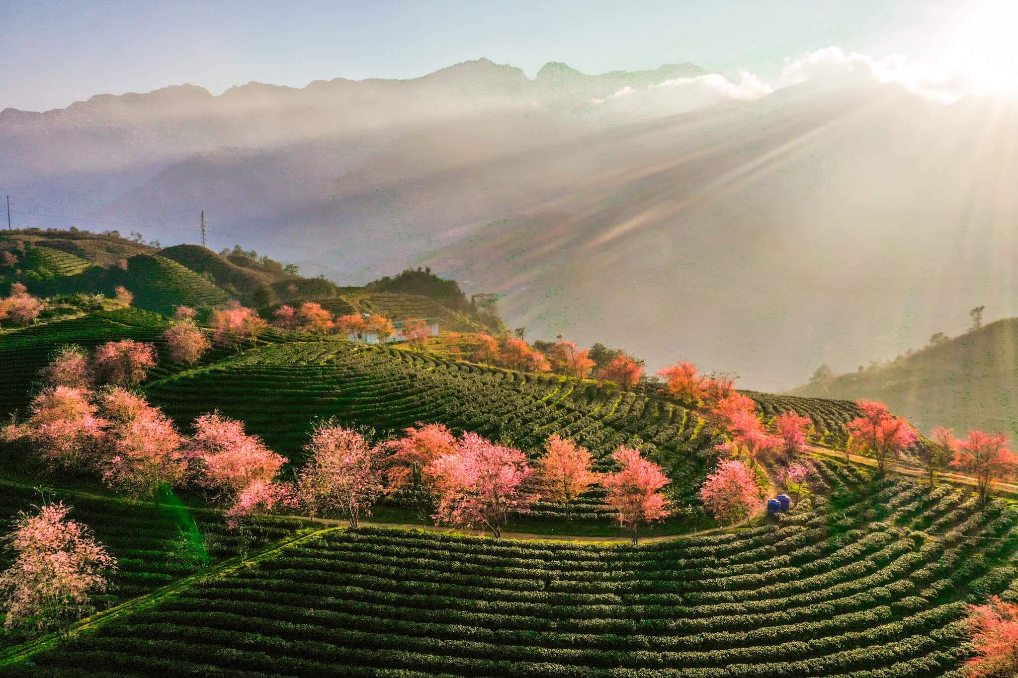 Du lịch thành phố Sapa