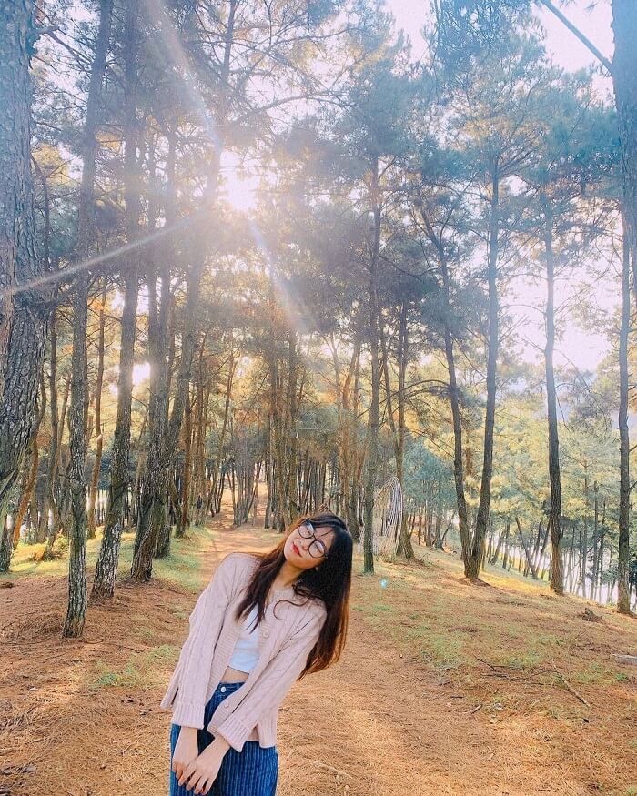 バックカンのバンチャン湖は、ダラットのミニチュアに例えられます。