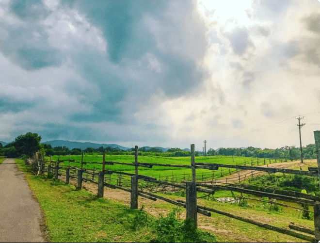 Trại ngựa Bá Vân