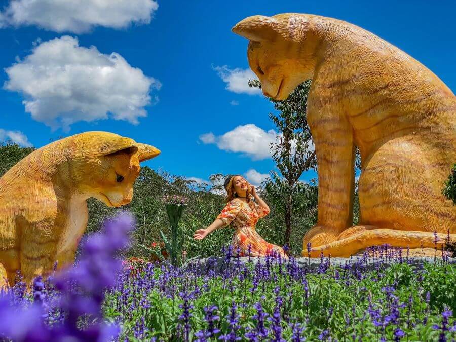 2匹の猫のミニチュアシーンはシンプルですが、オープンスペースと組み合わせると美しい写真が作成できます