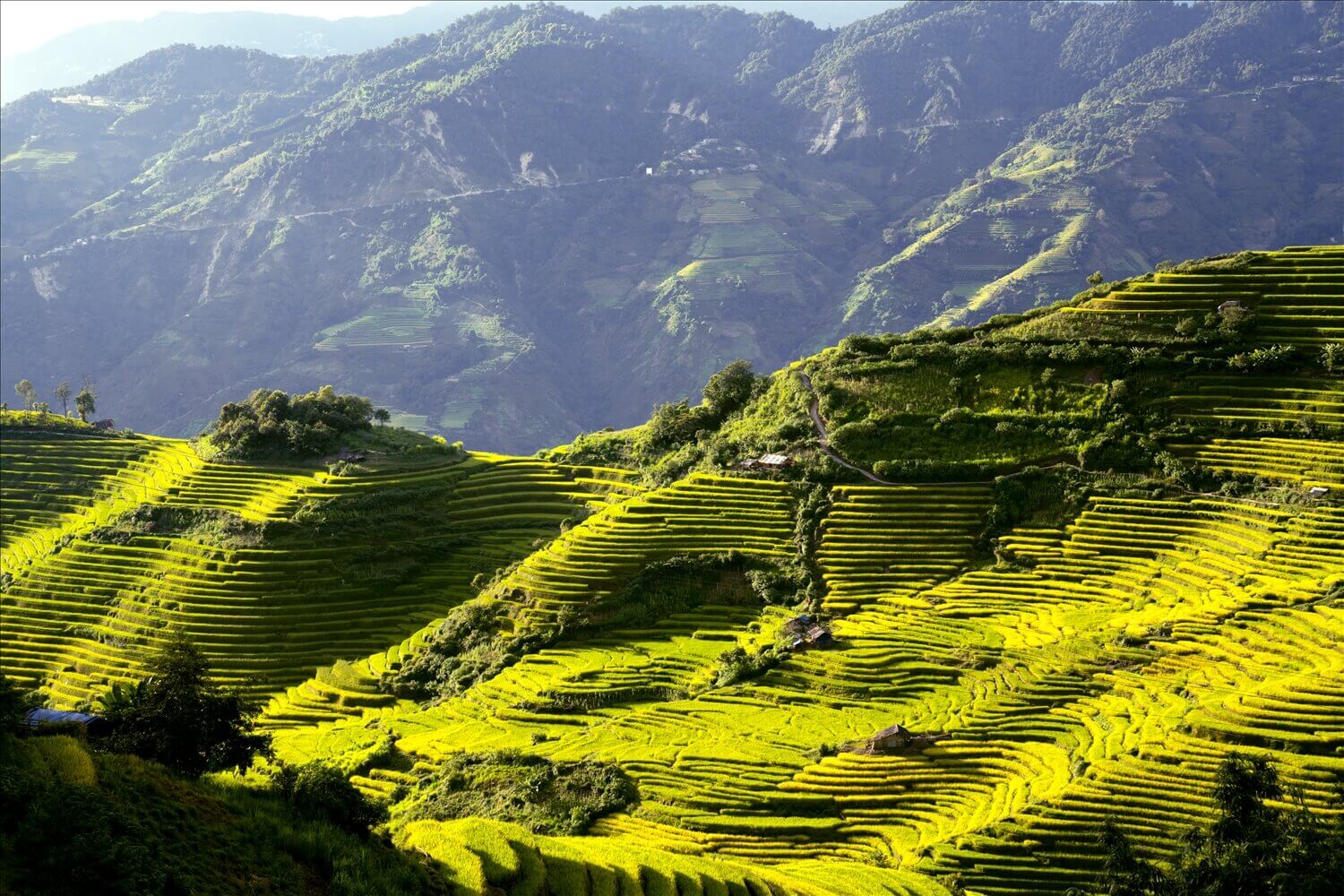 Cao nguyên Dào San.