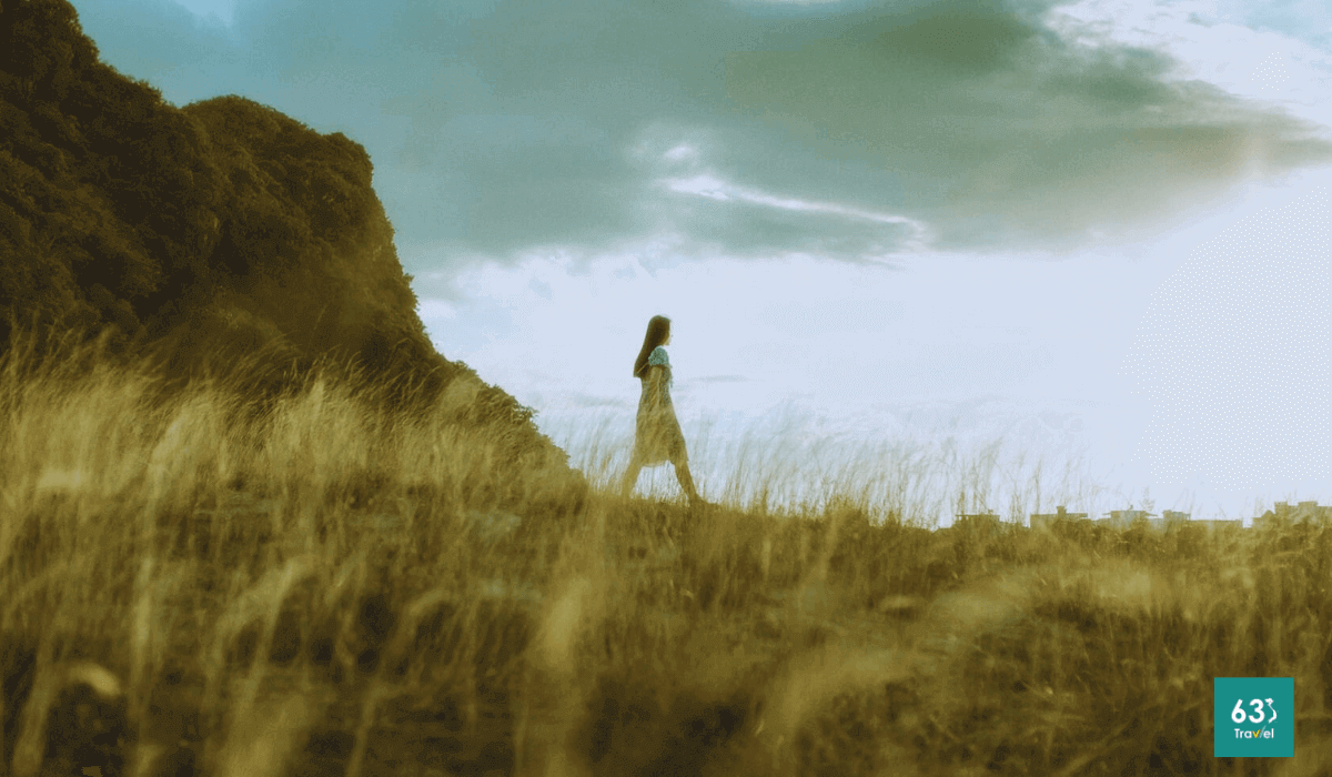 Bãi cỏ cháy Đà Nẵng điểm hoang sơ thu hút lượt check in nhất