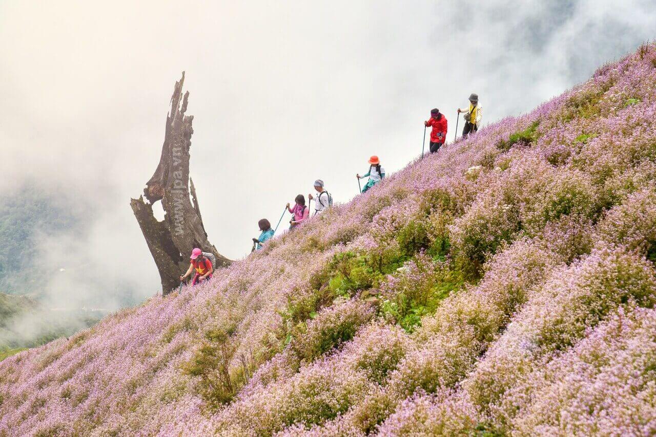 若者たちを「狩猟」させるタ・チ・ヌー、イェン・バイの特別な点は何ですか？