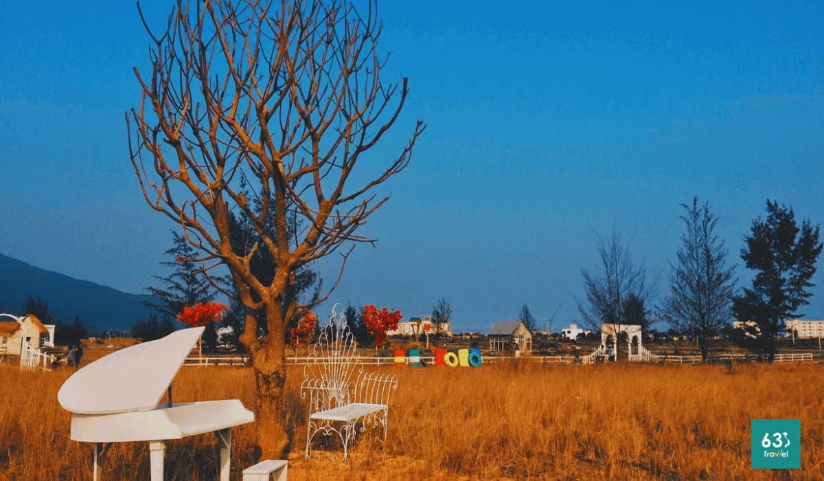 Thuận Phước Field - Nơi tái hiện khung cảnh làng quê châu Âu giữa lòng Đà Nẵng