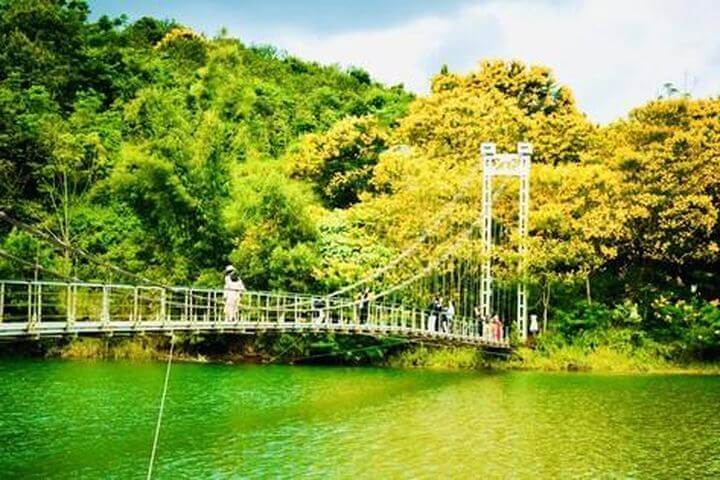 黄色いホウオウボクが覆い、ダクノンの吊り橋は絵のように美しい