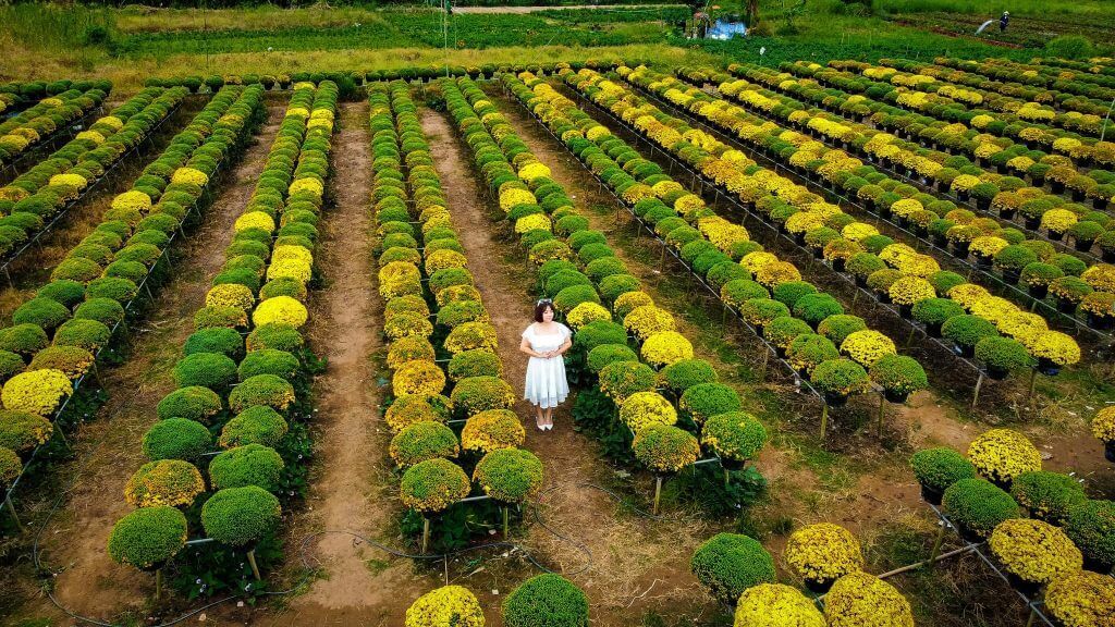 Làng hoa An Thạnh