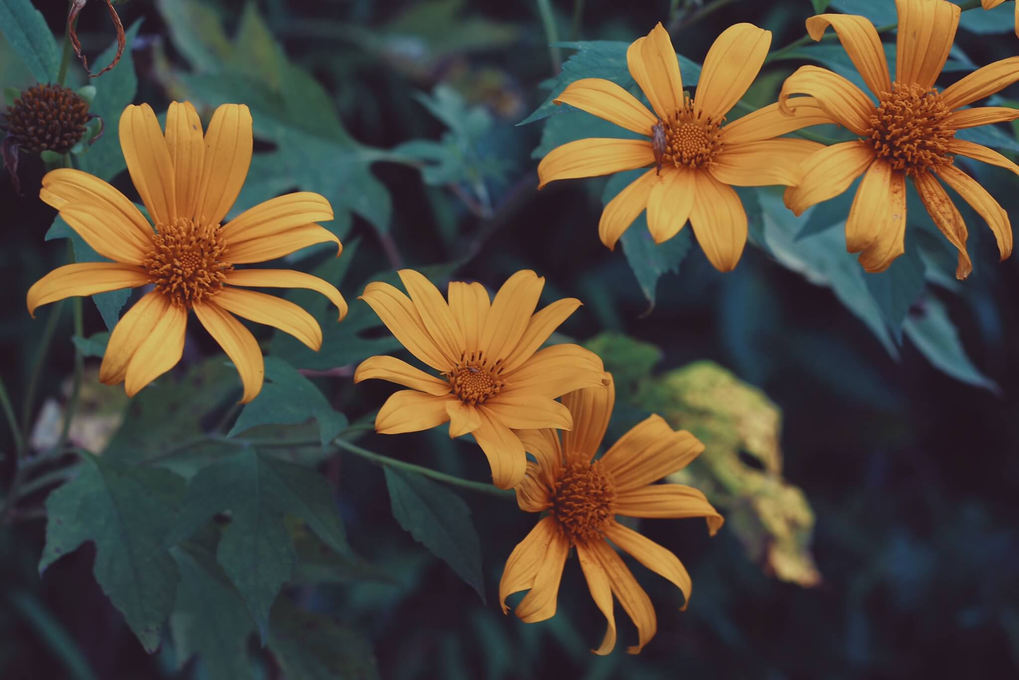 Na Hang tourist area