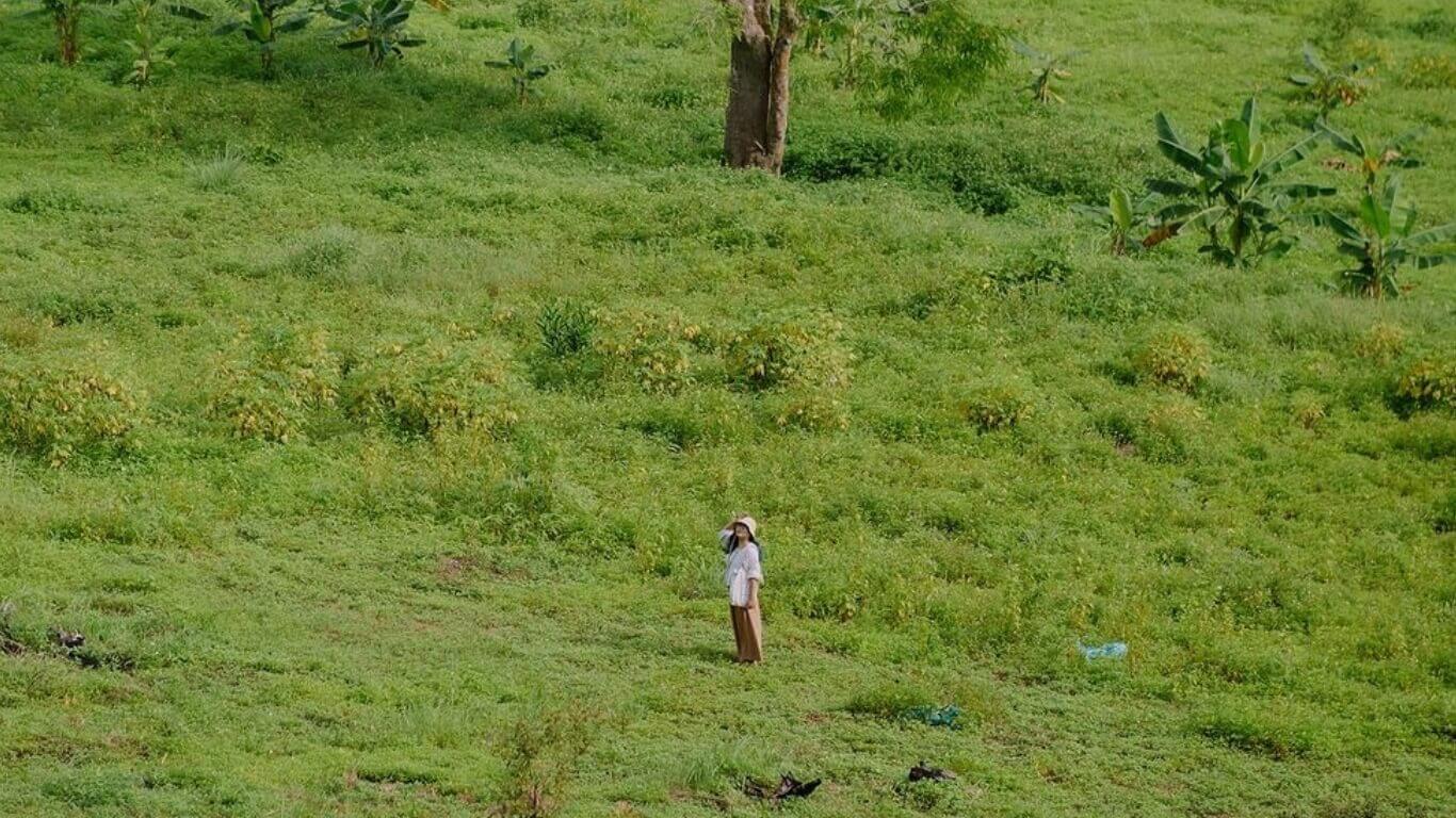 Hành Trình Lạc Vào Xứ Sở Thần Tiên Tại Thung lũng Bướm Cát Bà