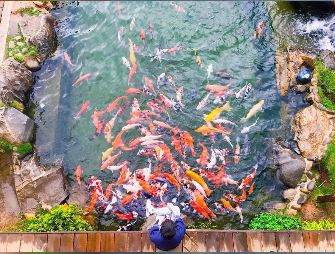 Khu du lịch Lá Phong