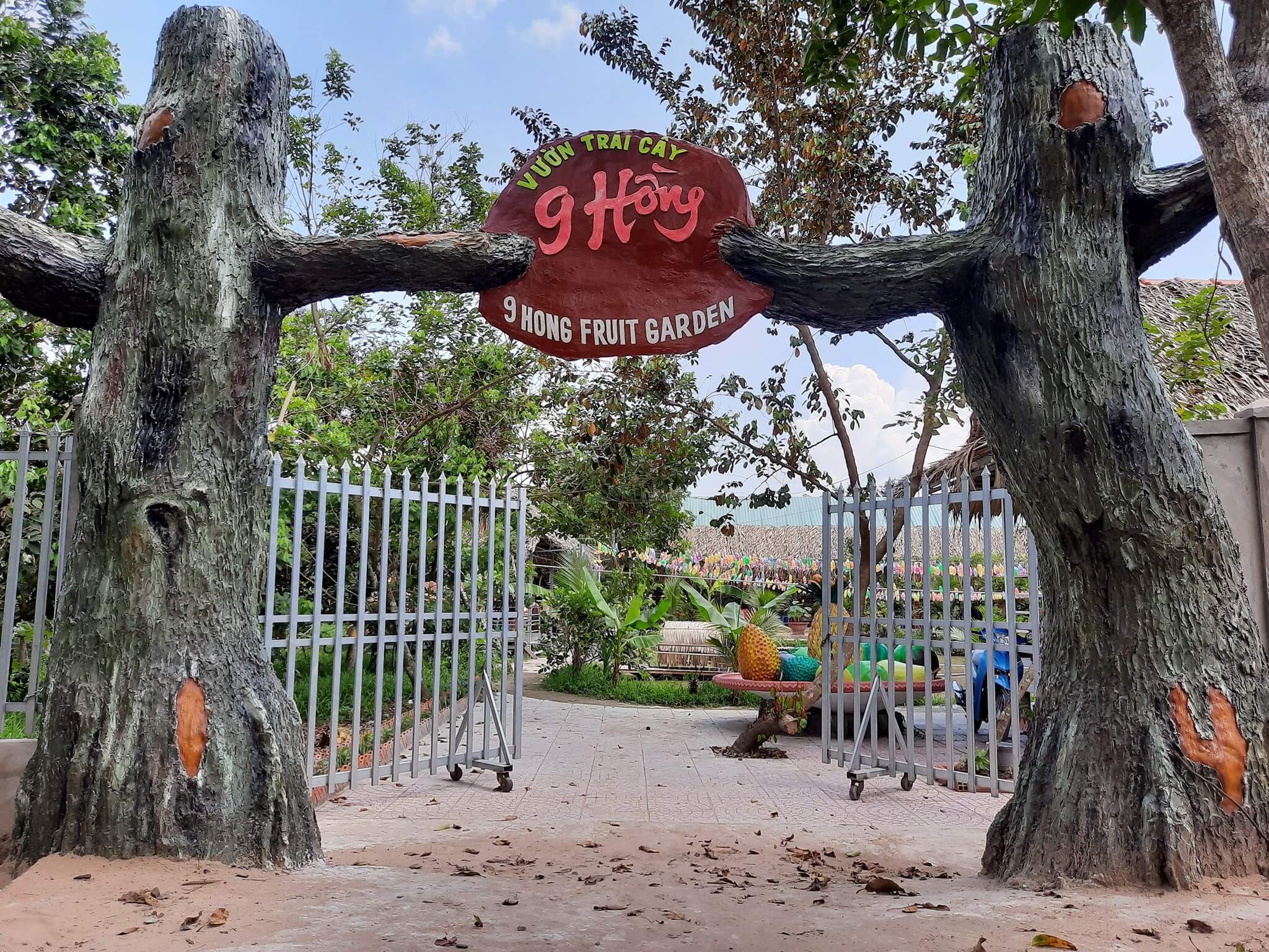 Vườn trái cây 9 Hồng