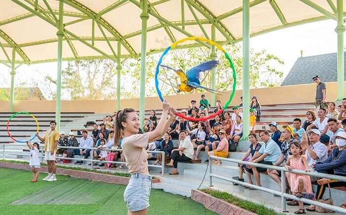 Bird performance at King's Garden Nha Trang