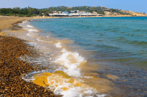 訪問者がCo Thachビーチに来る奇妙なこと