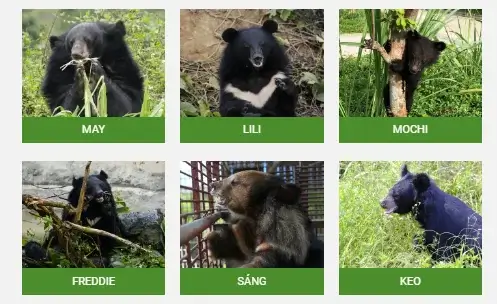 닌빈 곰 보호 기지