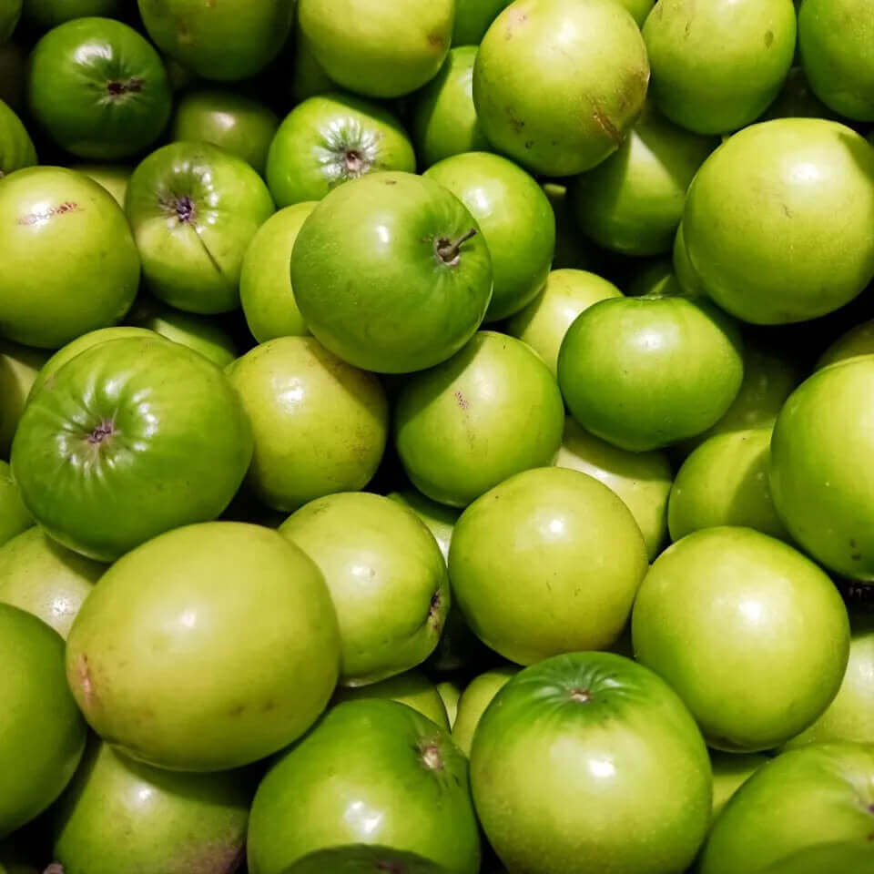 Táo xanh Ninh Thuận - Mua làm quà rất lý tưởng