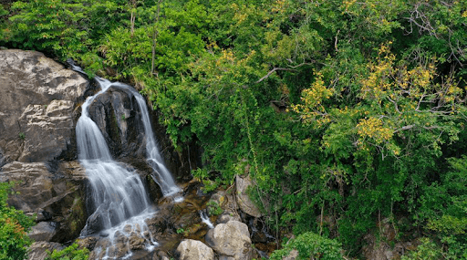 Vườn quốc gia Núi Chúa