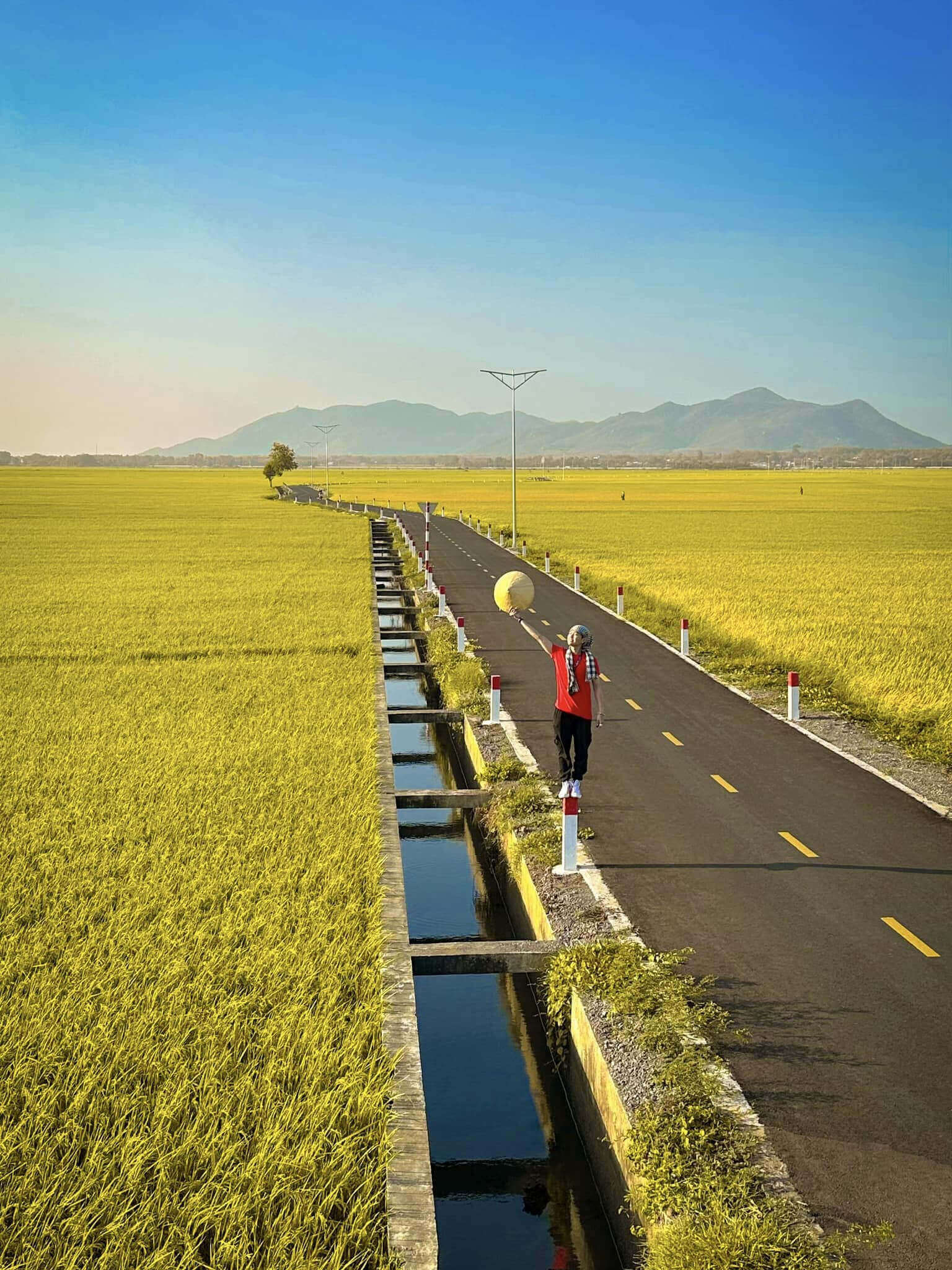 ブンタウの金色の野原の間の道は漫画のように美しくて熱狂する