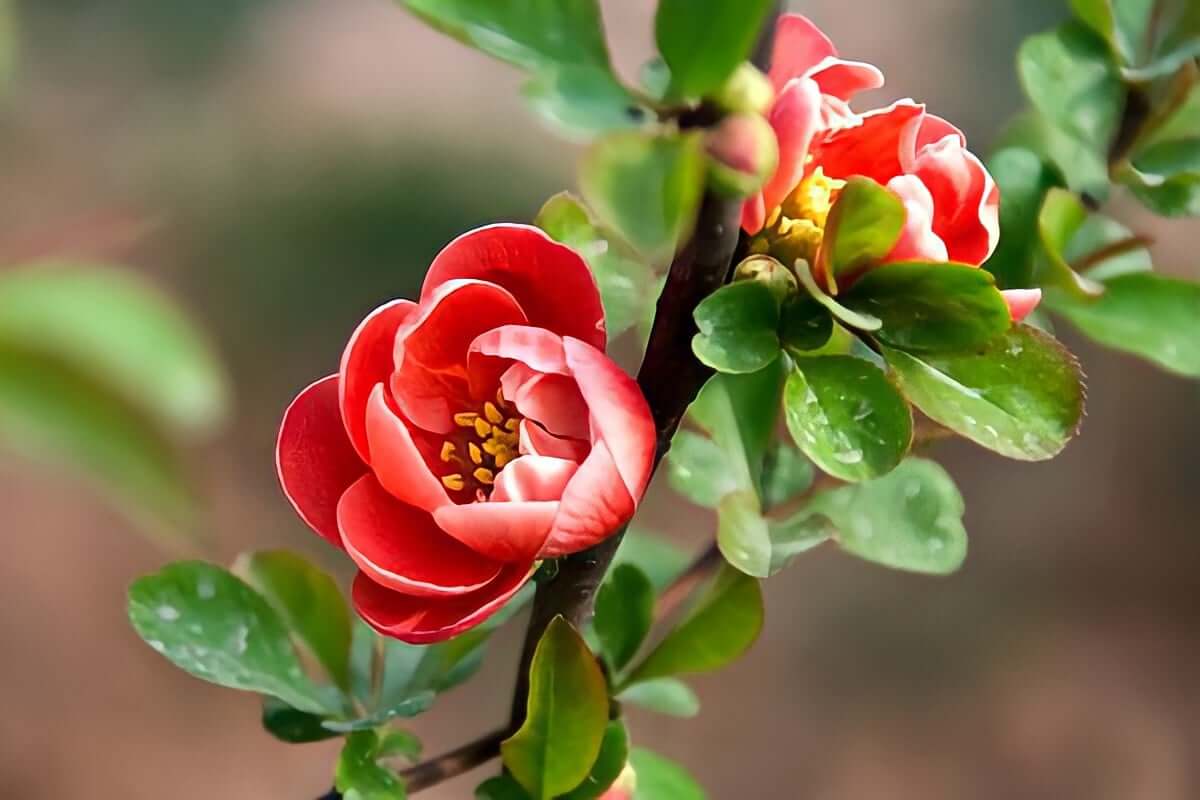 Vườn Quốc Gia Phú Quốc