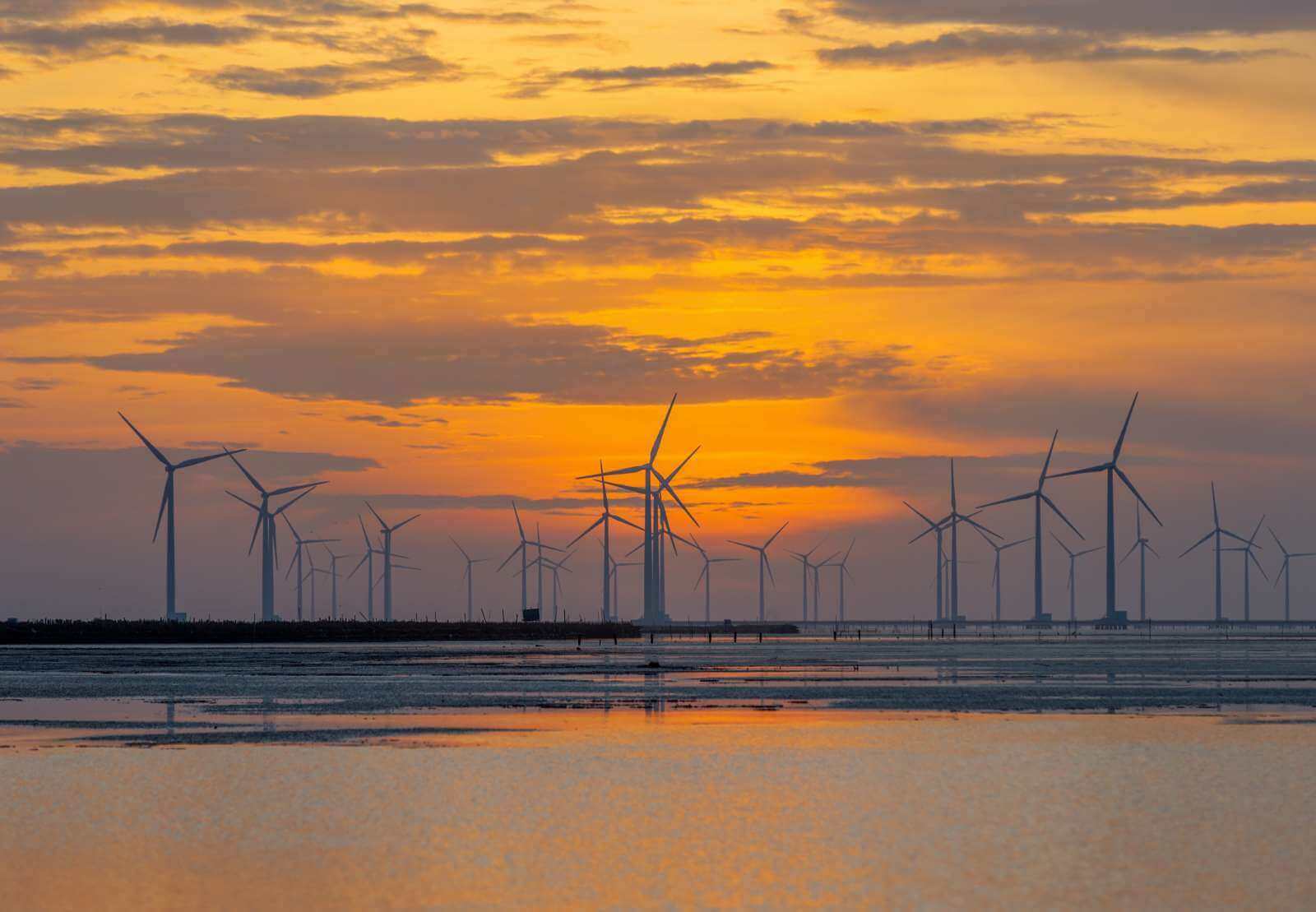 バクリューを訪れ、巨大な風力発電所と美しいチェックイン スポット トップ 5 を見学