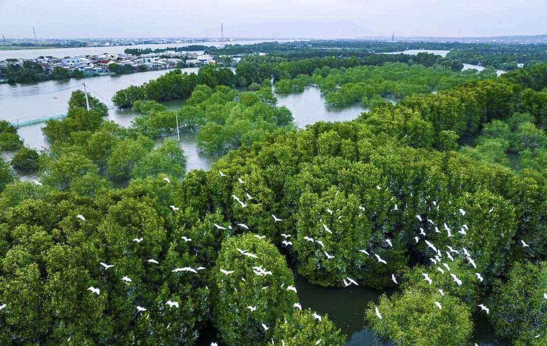 ビンディン最大のマングローブ林の魅惑的な美しさに感嘆するチェオ・サップ