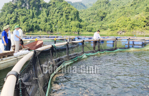 東南アジア最大の人造湖での檻に入れられた魚の養殖の拡大図