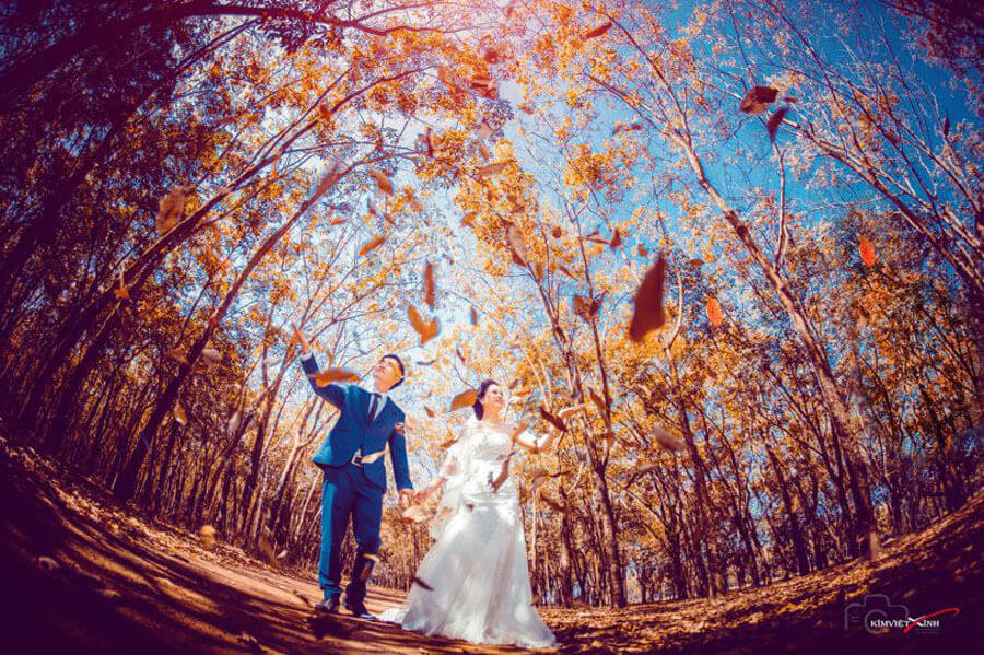 結婚式の写真スポットとしてブダンゴム林を選ぶカップルもたくさんいます。