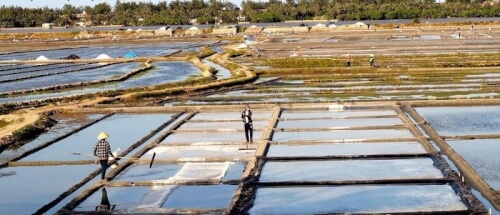 Hình ảnh người nông dân trên cánh đồng muối Sa Huỳnh