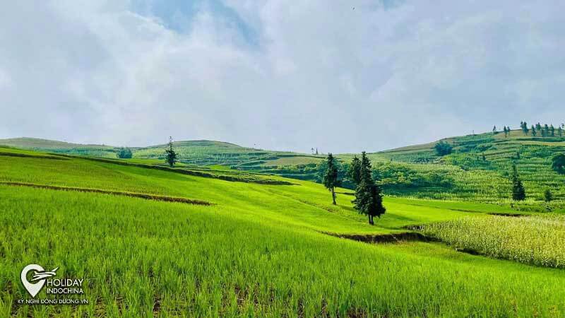 この草原は詩的かつ雄大で、ハザンの「不思議の国」と同じくらい美しいです。