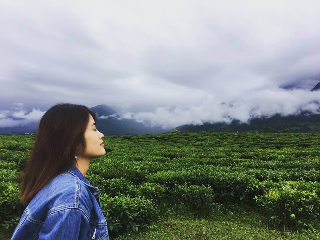 Đồi chè Tân Uyên .