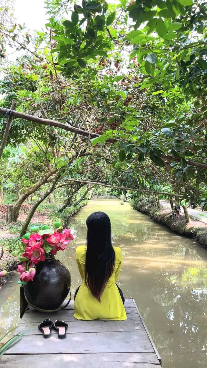 Vườn trái cây 9 Hồng