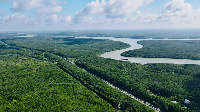 ダンサイのエコツーリズムエリアは見渡す限りの緑で満たされています