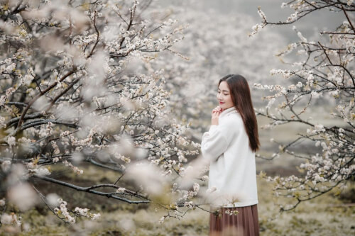 Vẻ đẹp mê hồn tại Vườn hoa Lê Hồng Thái