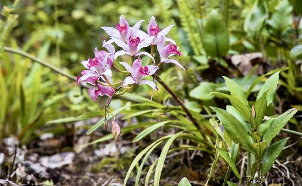 Làng du lịch cộng đồng Vi Rơ Ngheo