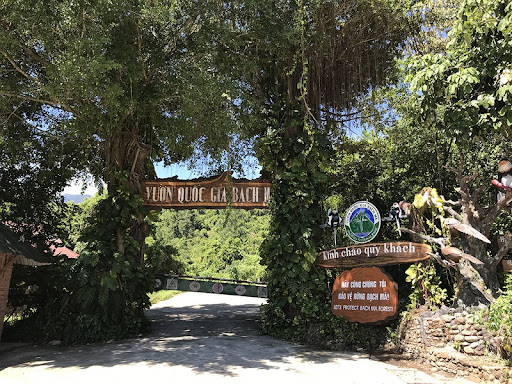 바흐마 국립공원은 온화한 기후와 열대우림의 찬란한 아름다움, 그리고 풍부한 동식물군으로 유명합니다.