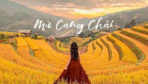 Mù Căng Chải mùa lúa chín
